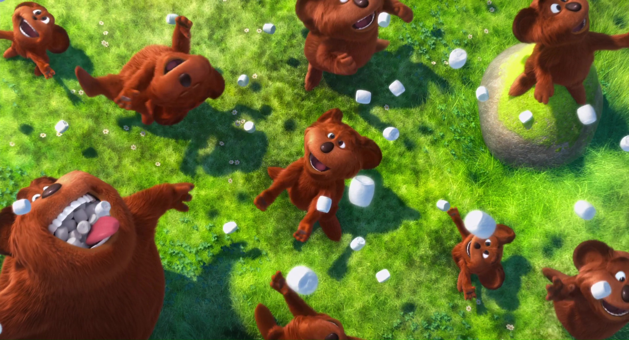 Lorax